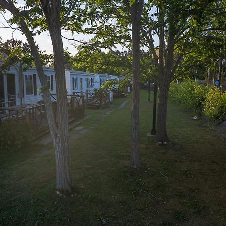 Natur Camping Landshause Burinhosa Buitenkant foto