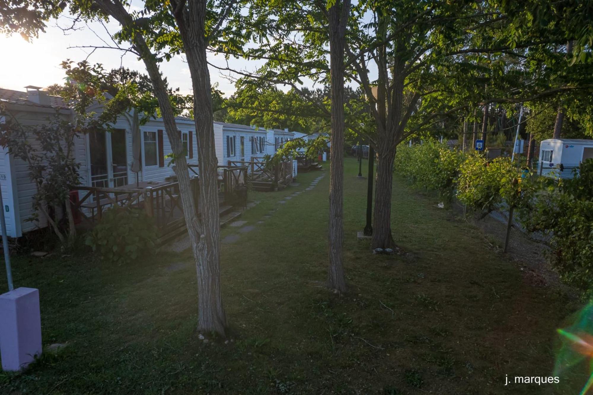 Natur Camping Landshause Burinhosa Buitenkant foto